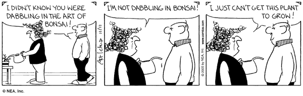bornloser